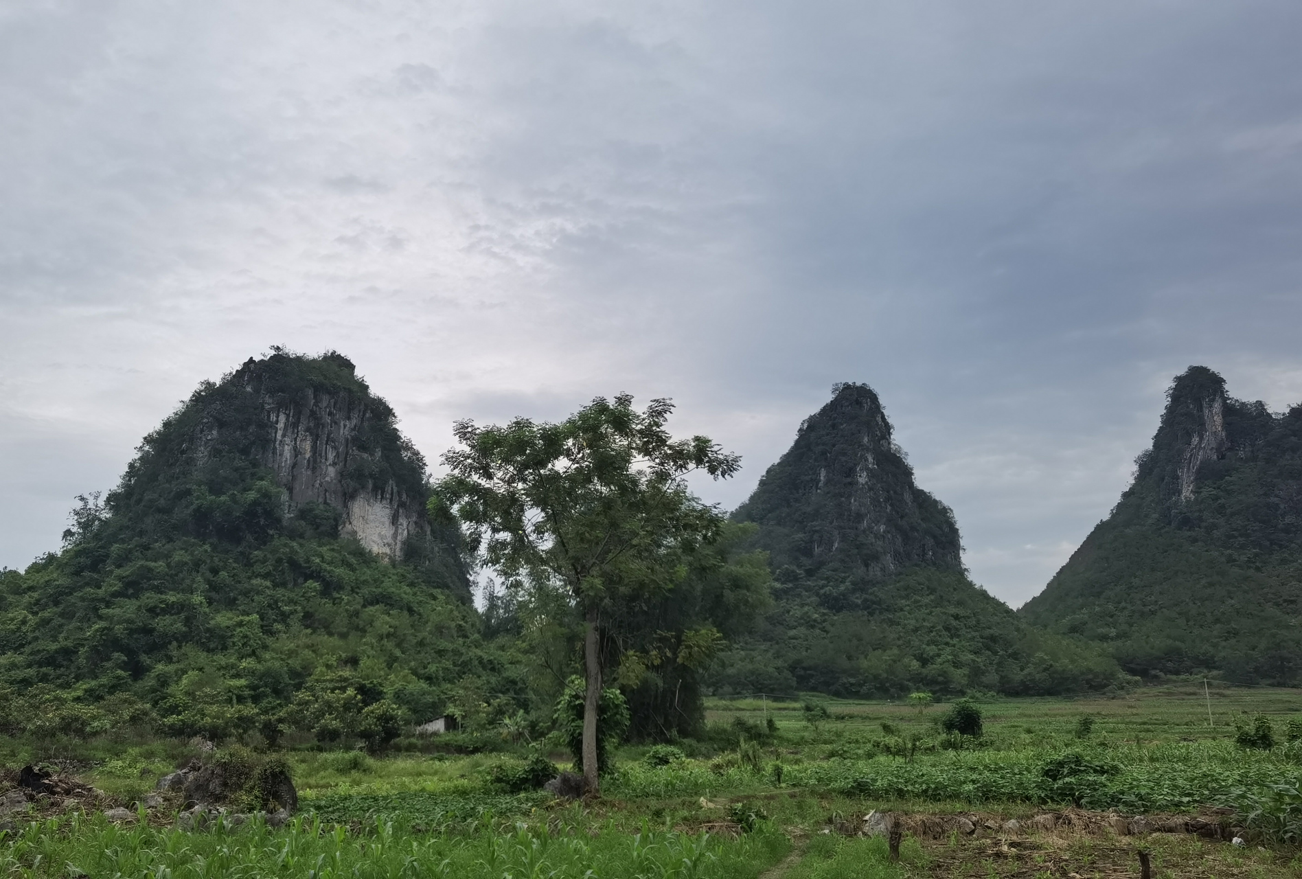 龙洪自然风景区