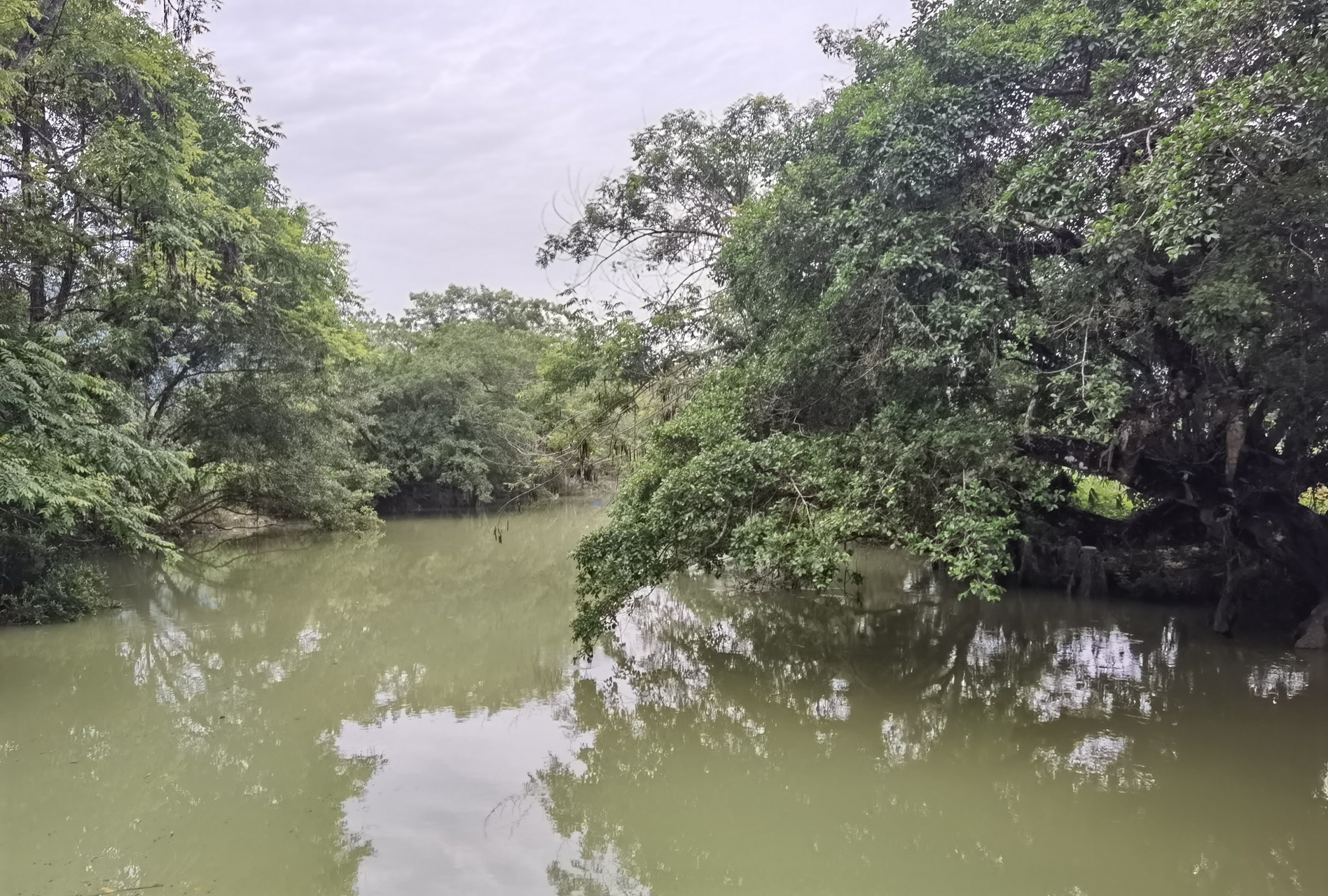 龙洪自然风景区