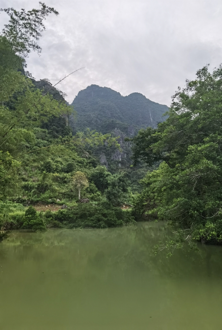 龙洪自然风景区