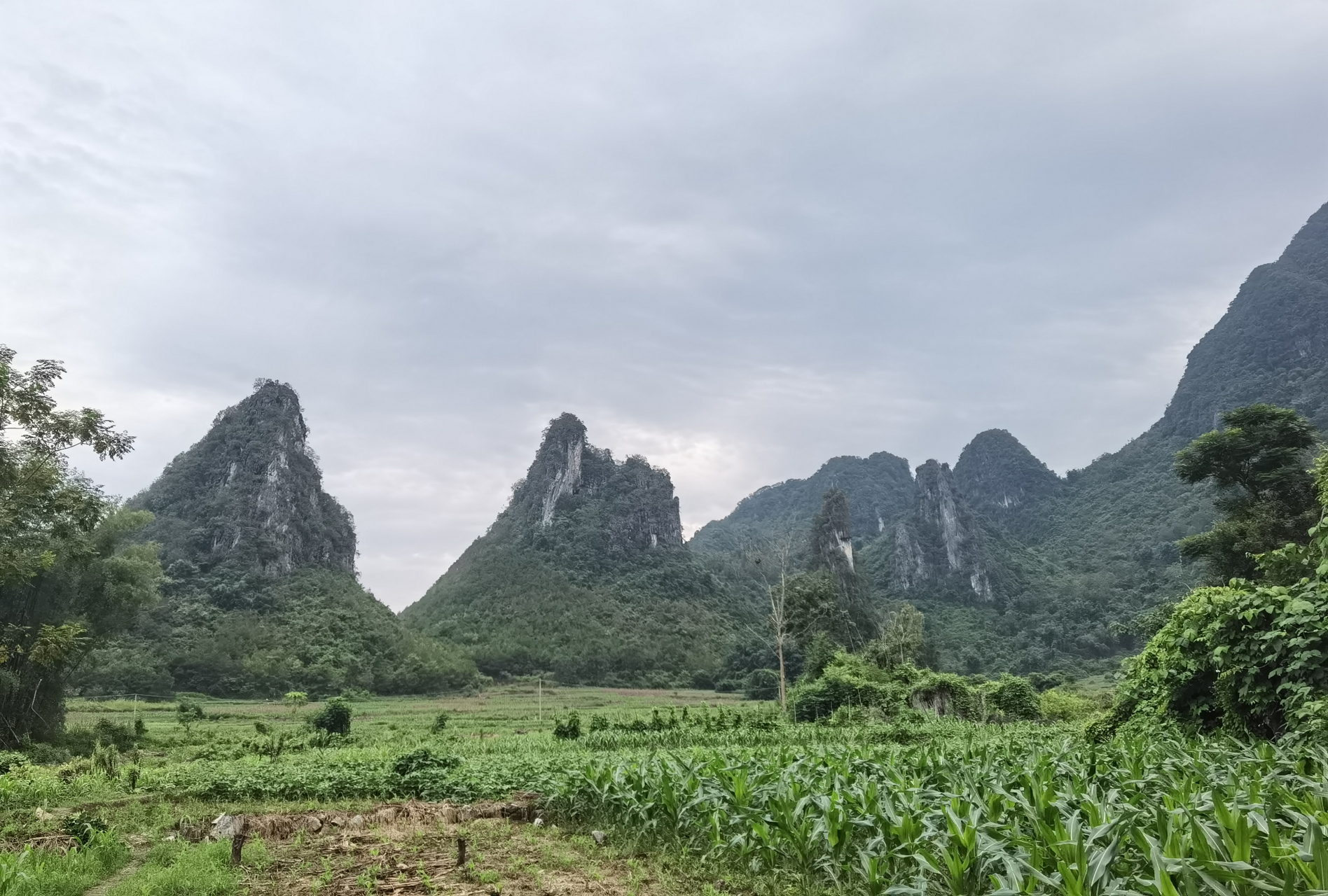 龙洪自然风景区