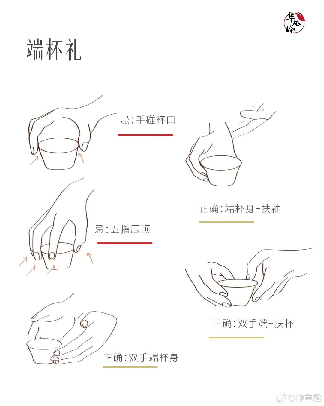 茶礼简笔画图片