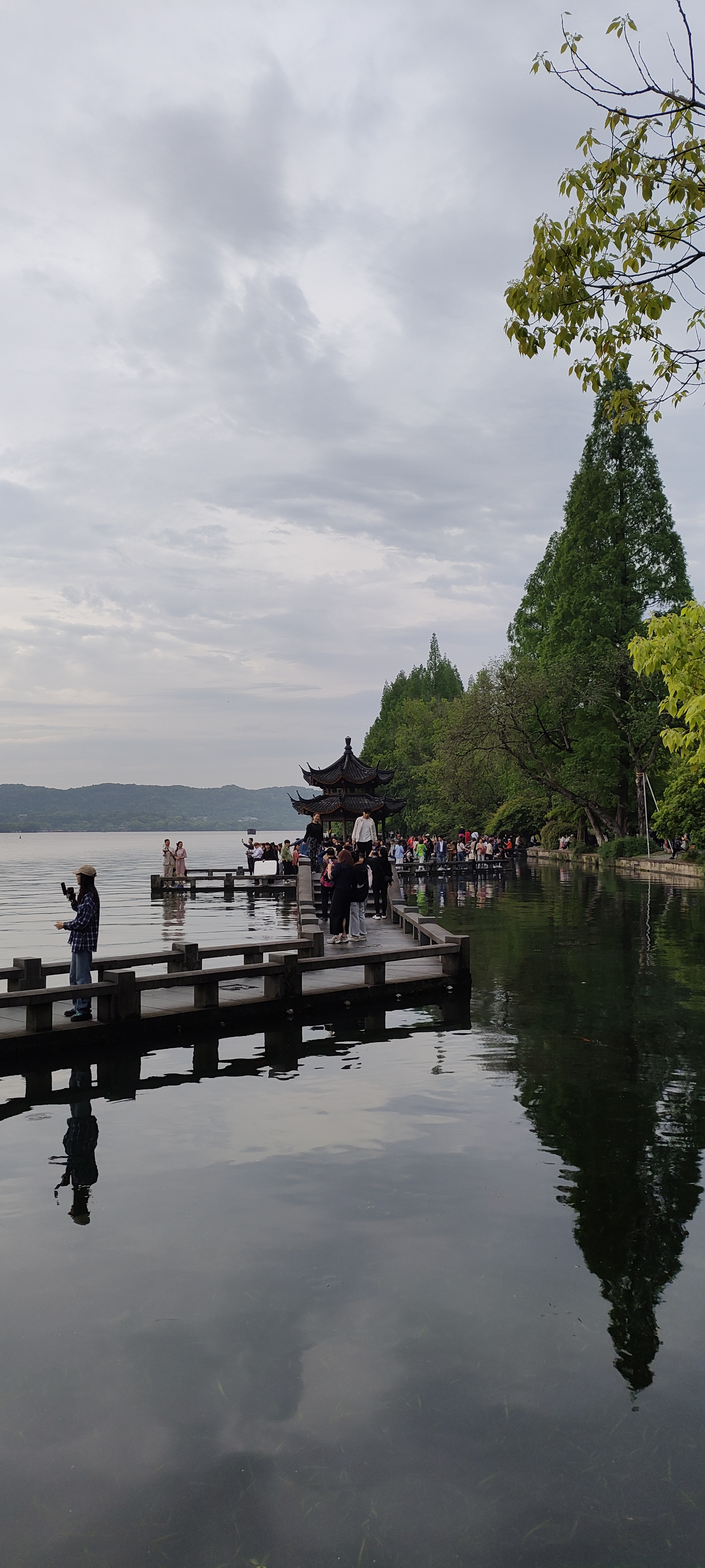 往事随风风景图片图片