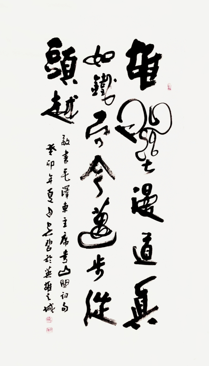 雄关漫道真如铁,而今迈步从头越(八平尺).