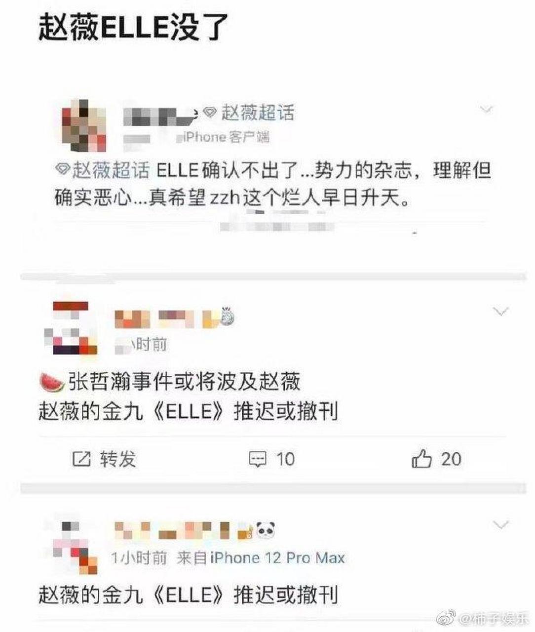 张哲瀚事件 张哲瀚事件已经影响到他老板,赵薇金九 《elle》封面可能