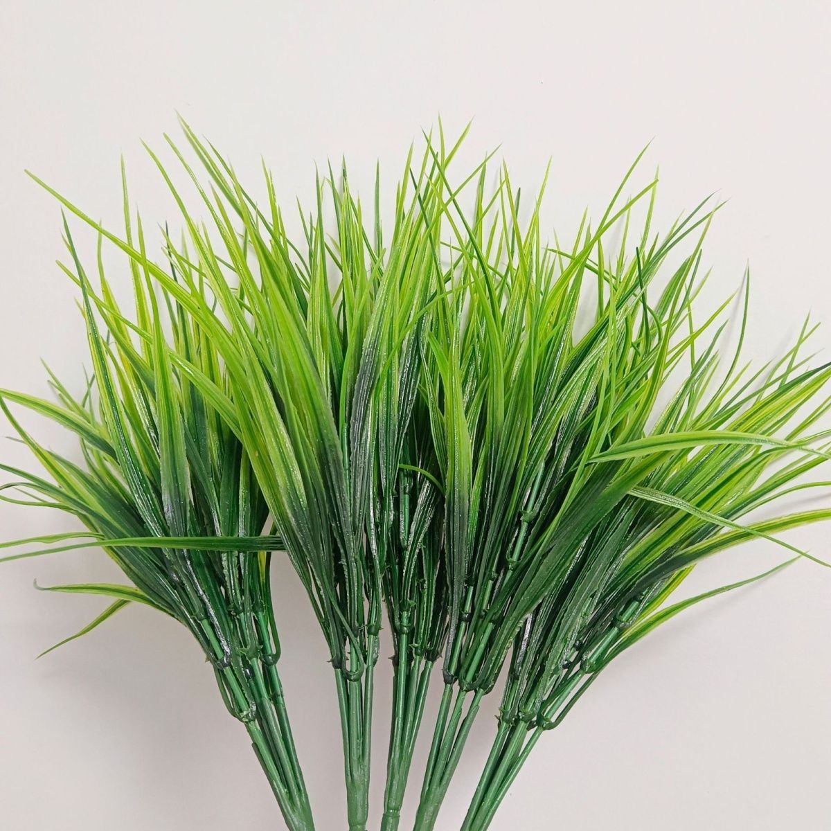 抖音用户春草的简单介绍