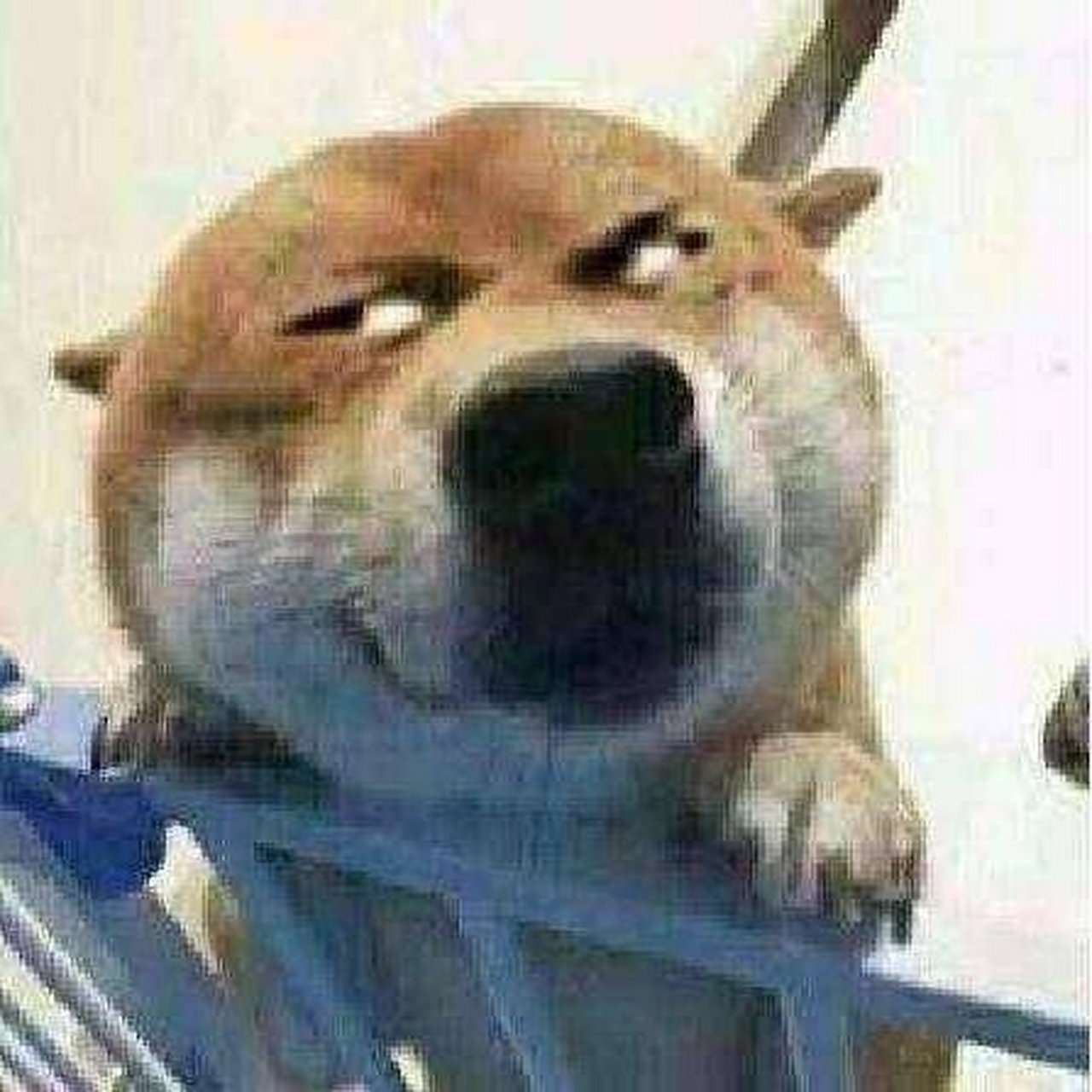 南山必胜客其实浪得虚名 你们的装备资源材料都是我企鹅的,任何风险是