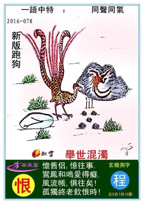 分享图片