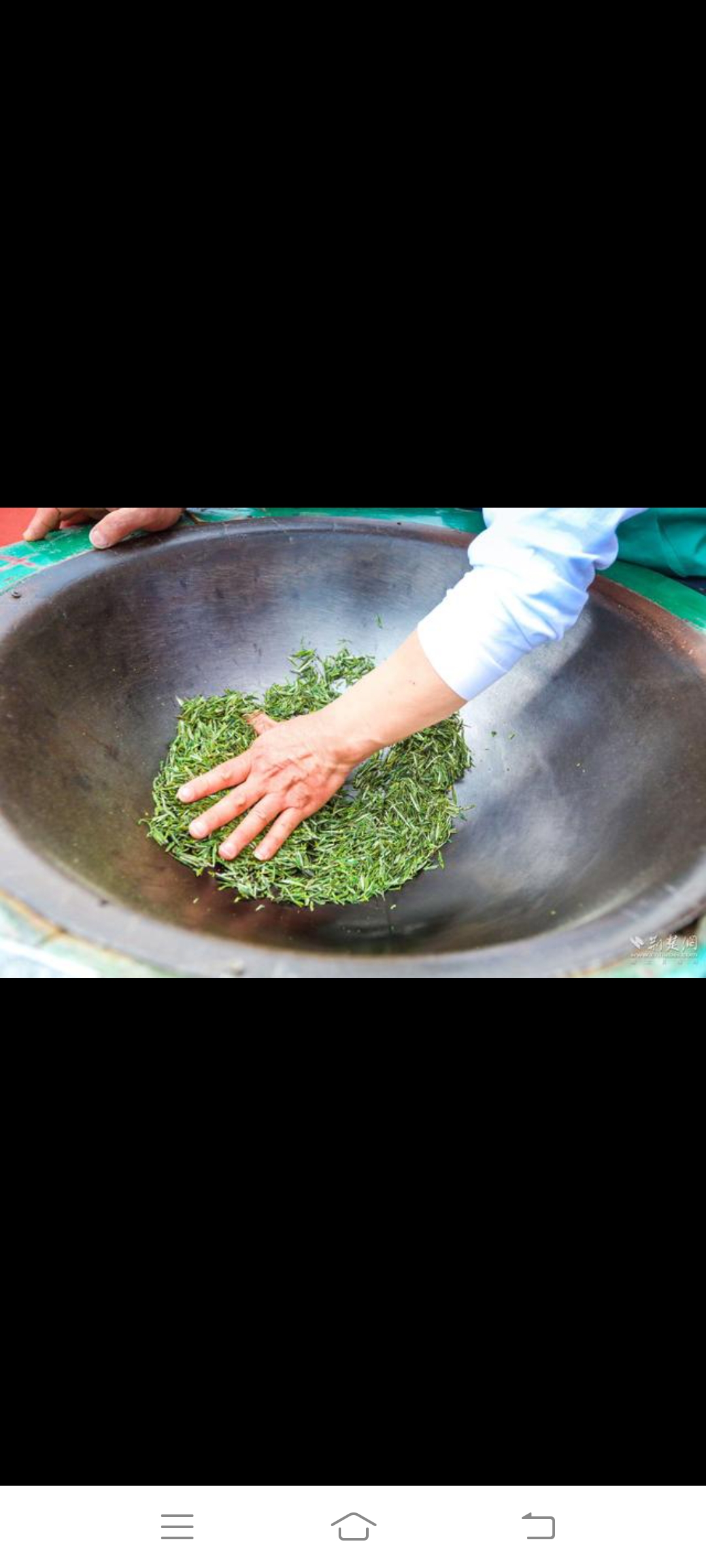 徐有言 寻遍千山灵芝草, 细挑慢烤淼烟煮