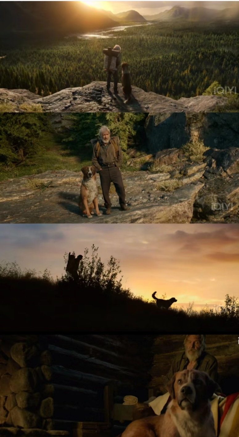《野性的呼唤》:从荧幕到内心的野性呼唤  看完电影《野性的呼唤》