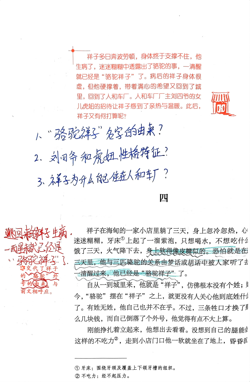 《骆驼祥子》第四章批注#骆驼祥子# #七年级上册语文课文笔记# #初中