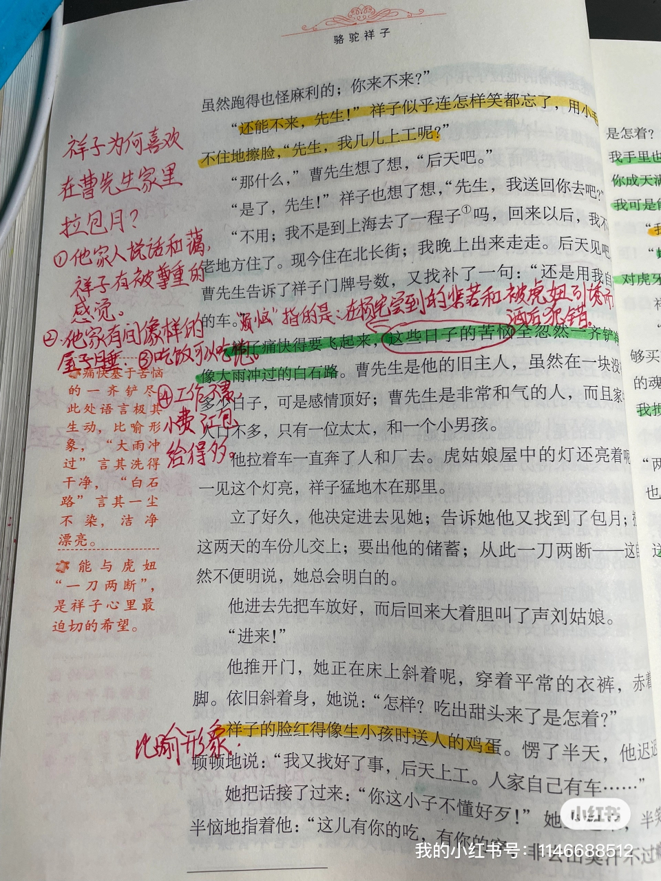 《骆驼祥子》第六章阅读批注