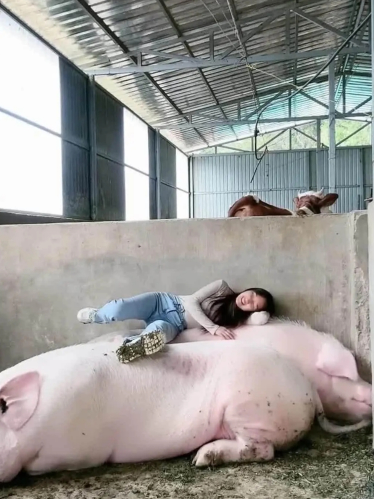 看图中的这位姑娘心情大好啦!不然怎么笑的这么灿烂呢!