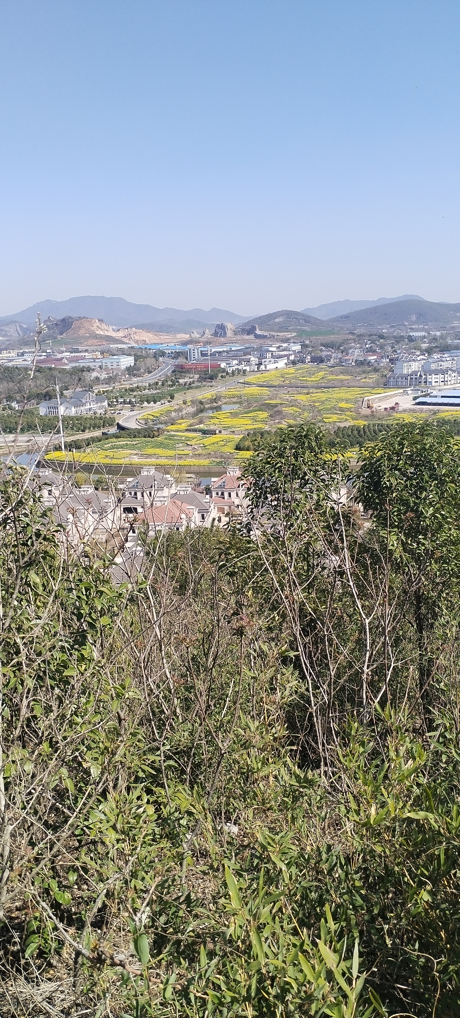 宜兴市张渚镇龙池村图片