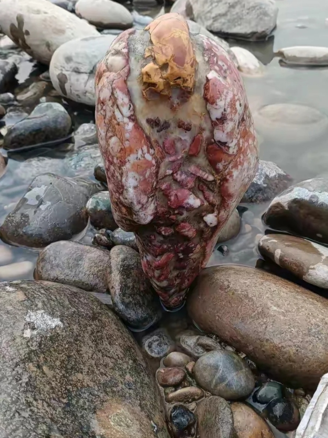 周末河边垂钓时,竟在浅滩发现一块奇特的石头