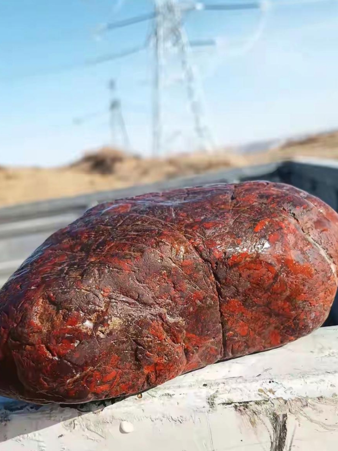 漫步在水库边的沙地,一块奇特的石头闯入眼帘