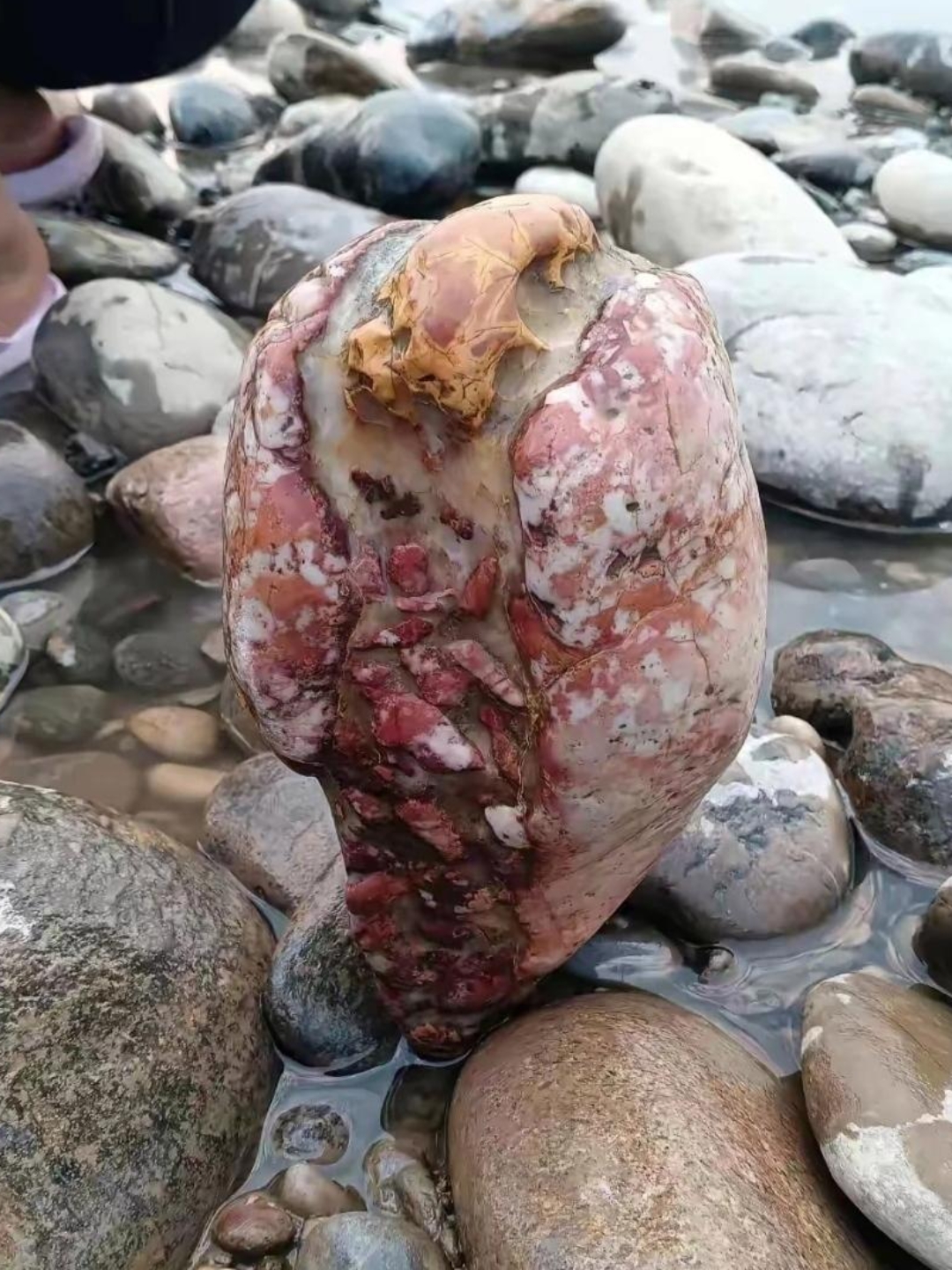 带孩子河边玩耍时,意外发现这块奇特石头,纹理独特令人称奇