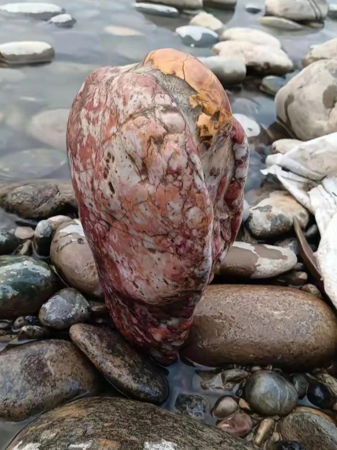 带孩子河边玩耍时,意外发现这块奇特石头,纹理独特令人称奇