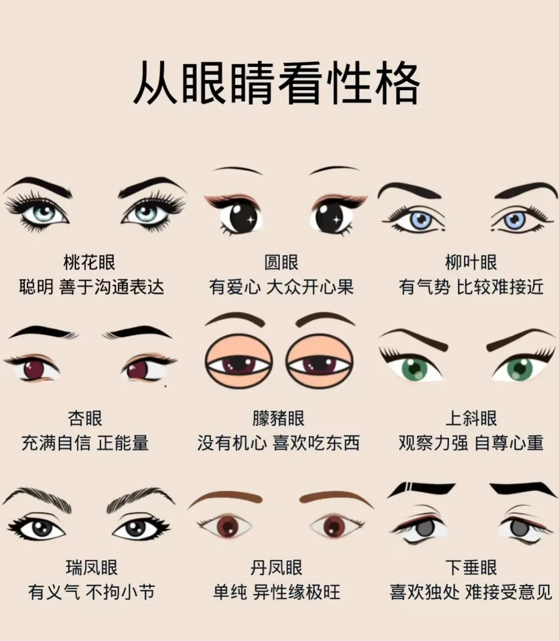 9种眼型图图片