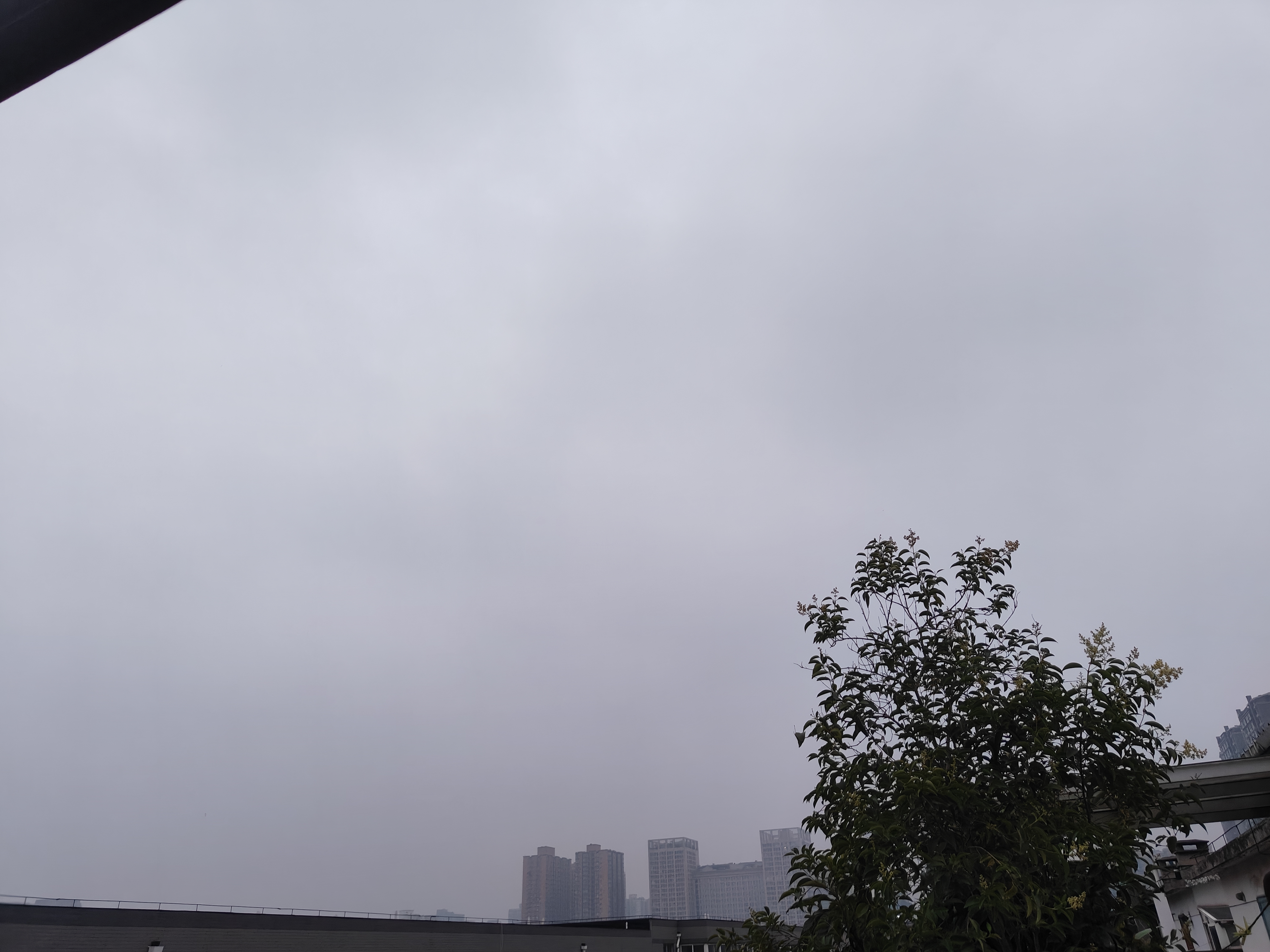 带着雾气蒙蒙的阴天[鲜花] 凉爽且有微风[棒棒糖]  早上好[鲜花]