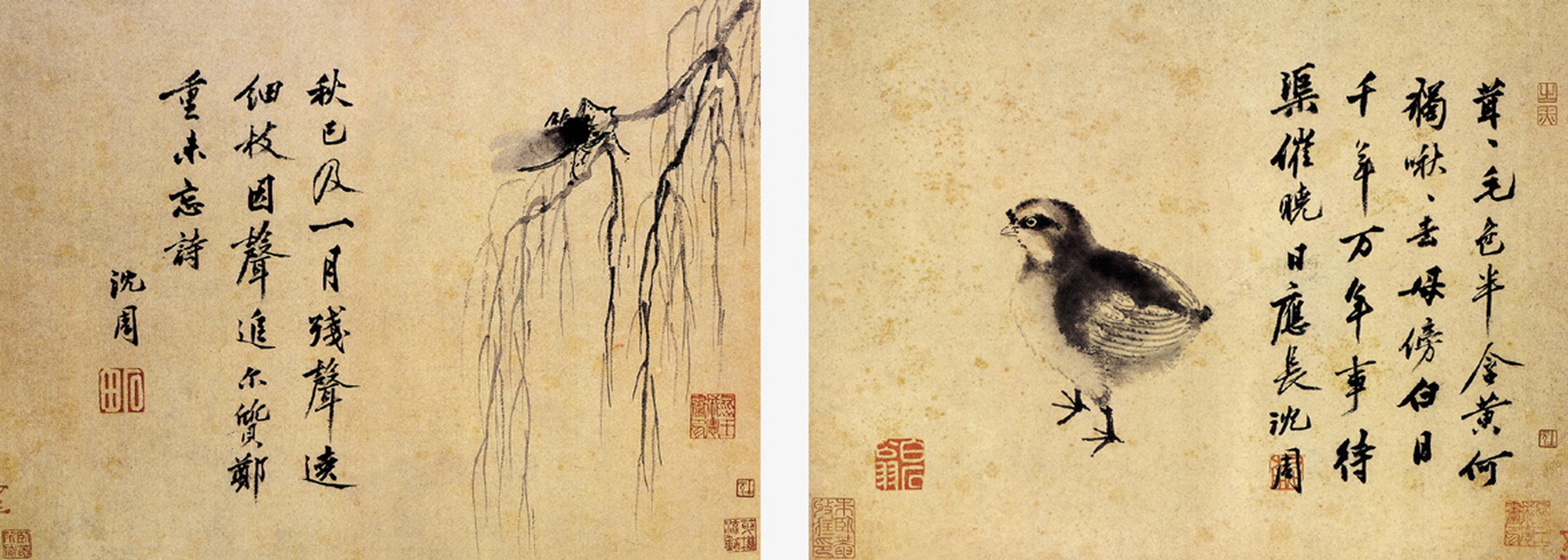 沈周《卧游图》周, 纸本水墨,淡设色, 每开纵27.8厘米 ,横37.