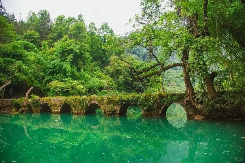 那就趁五一假期,去一趟荔波小七孔,打卡人间绿宝石,景区融山,水,林,洞