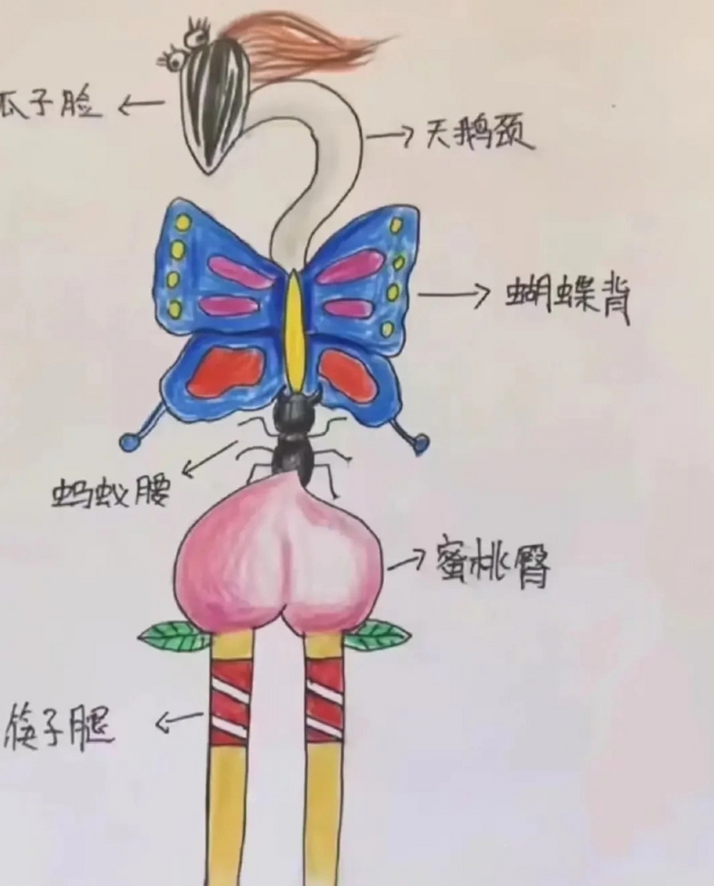 瓜子脸← 一天鹅颈  →蝴蝶背  蚂蚁腰 一蜜桃臀 筷子腿  这就是男人