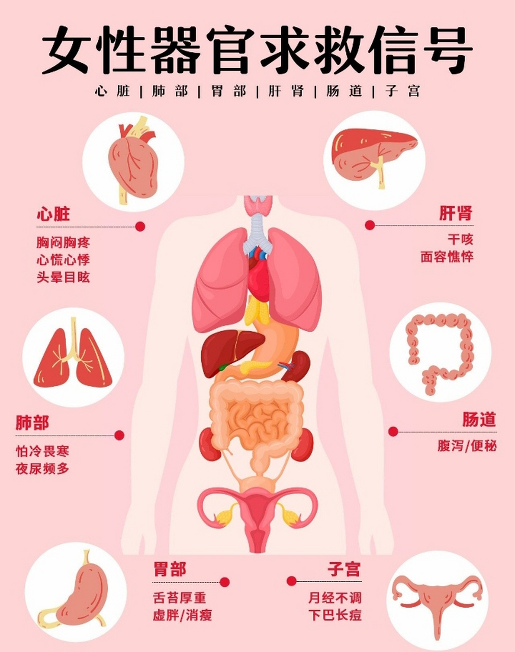 女性器官求救信号sos五脏六腑保养攻略 一台年份大的机器会通过零部件