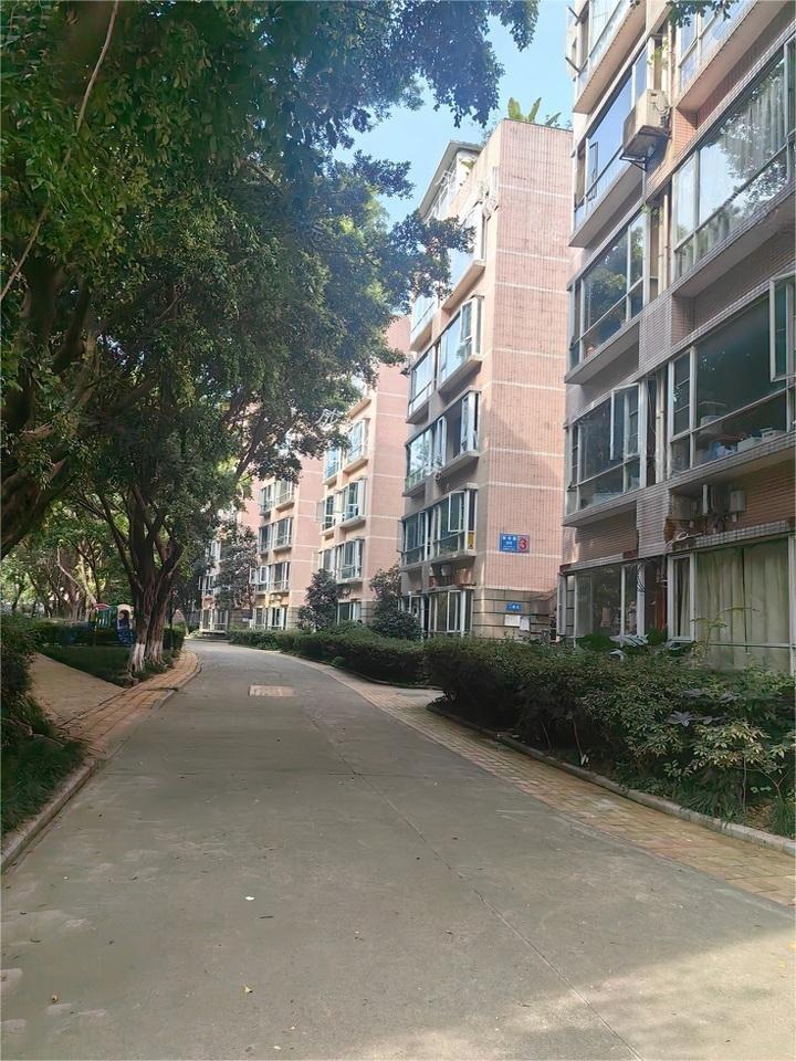 高新区:银都花园(5月16日10时开拍) 地址:成都市高新区新光路8号3栋5