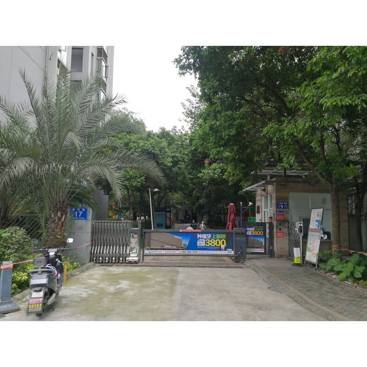 武侯区:金林俊景(8月29日10时开拍) 地址:成都市武侯区晋阳路17号5栋1