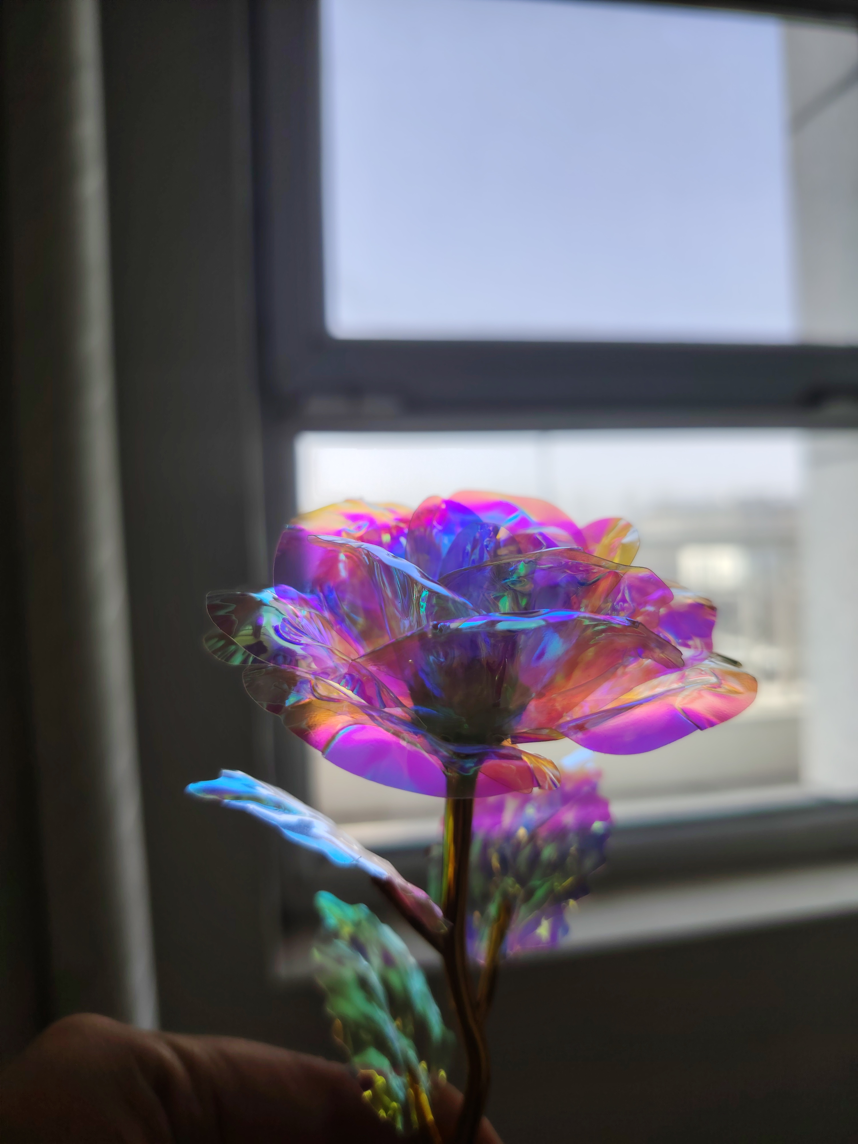 何为觉醒,觉醒后你胸怀大爱,如大海般容纳百川,如慈母守候家门盼儿归