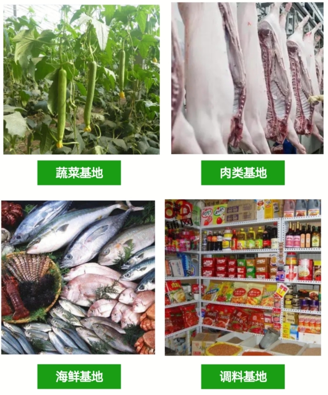 生鲜冷链配送：一场保鲜之旅