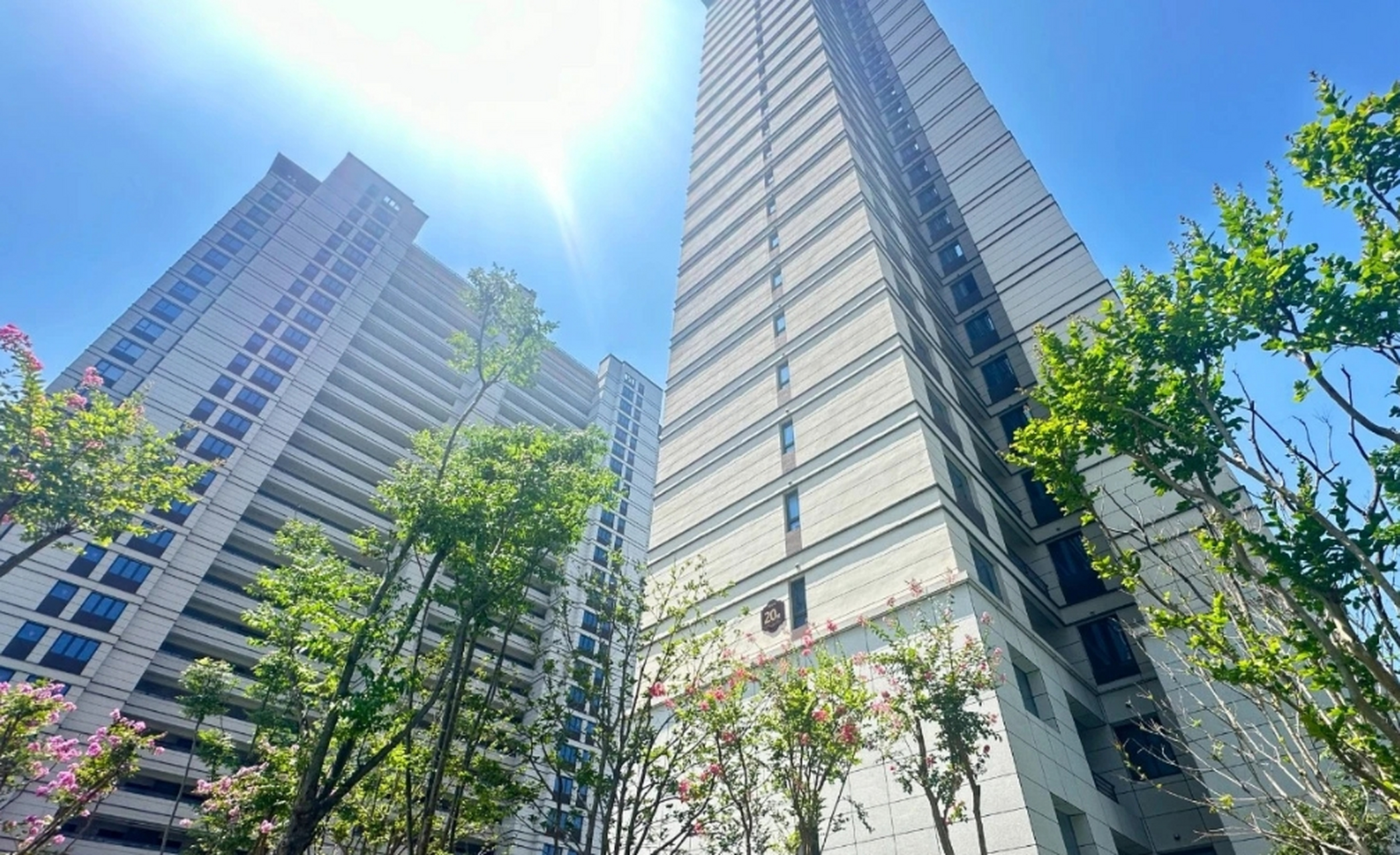 大洋湾新城安置房项目"目前南北区的安置房,商品房和商业部分已经基本