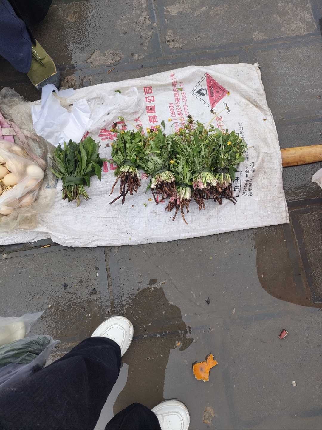 贵州的野菜,有没有你喜欢的