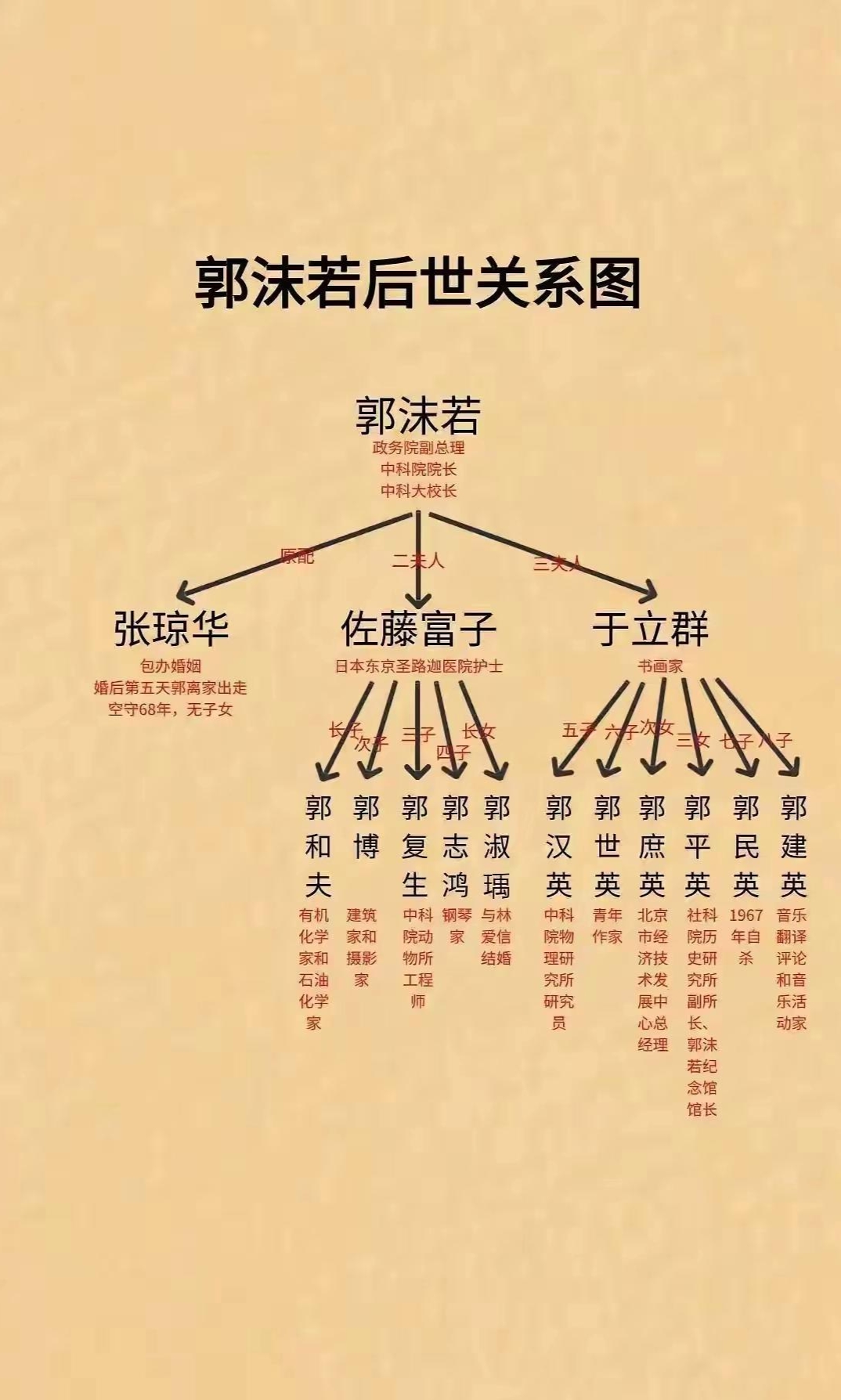 的亲戚关系图张澜子孙后代关系图林则徐的亲戚关系图唐朝宰相世系表