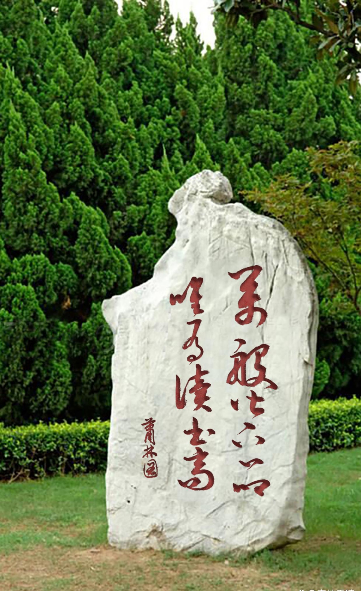 龙飞凤舞的书法艺术需要慢慢欣赏体会就有收获满满,可是我没有认出来