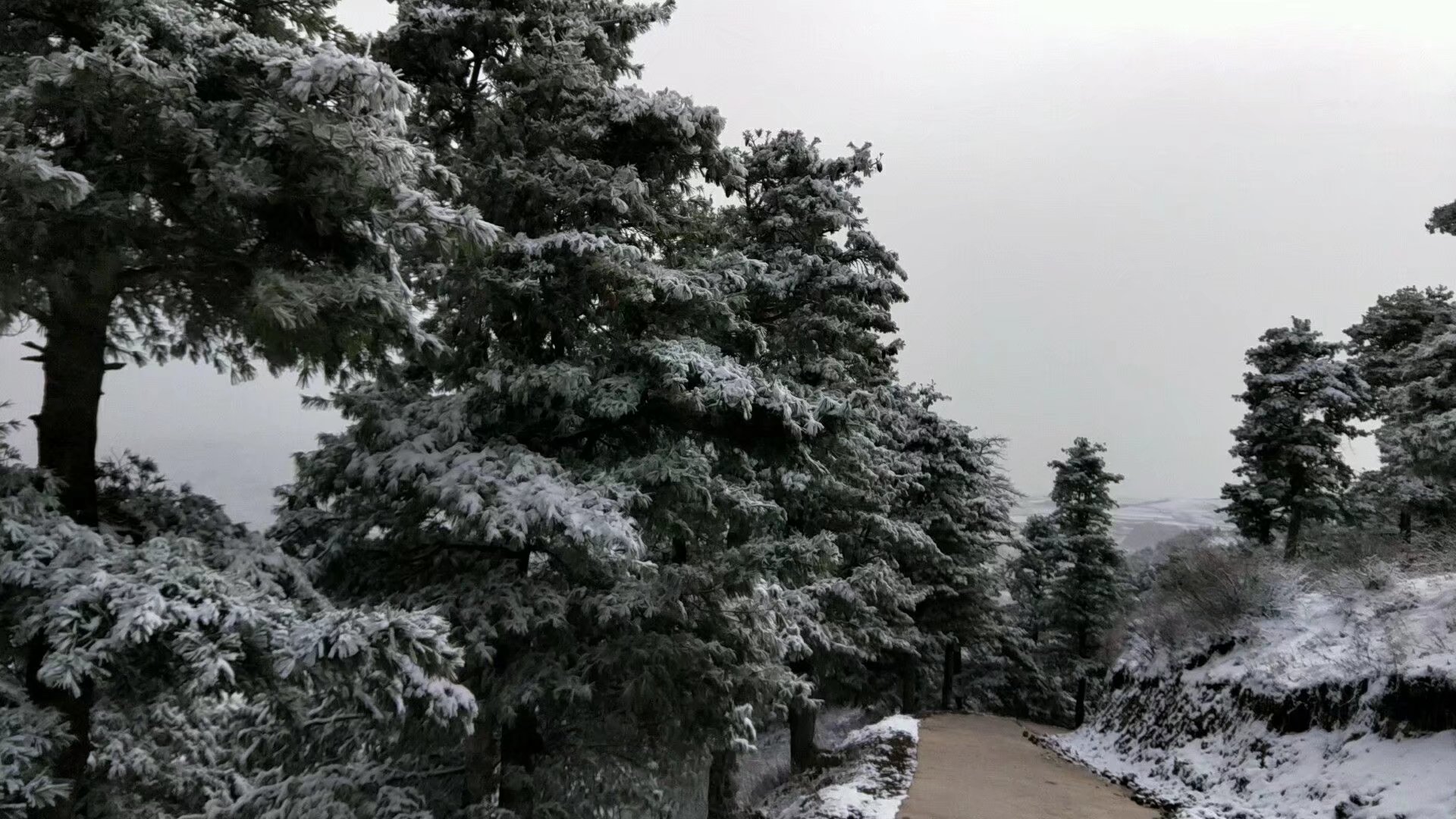 美丽的孙白村位于甘肃省天水市武山县四门镇南八公里处的云雾山麓,孙