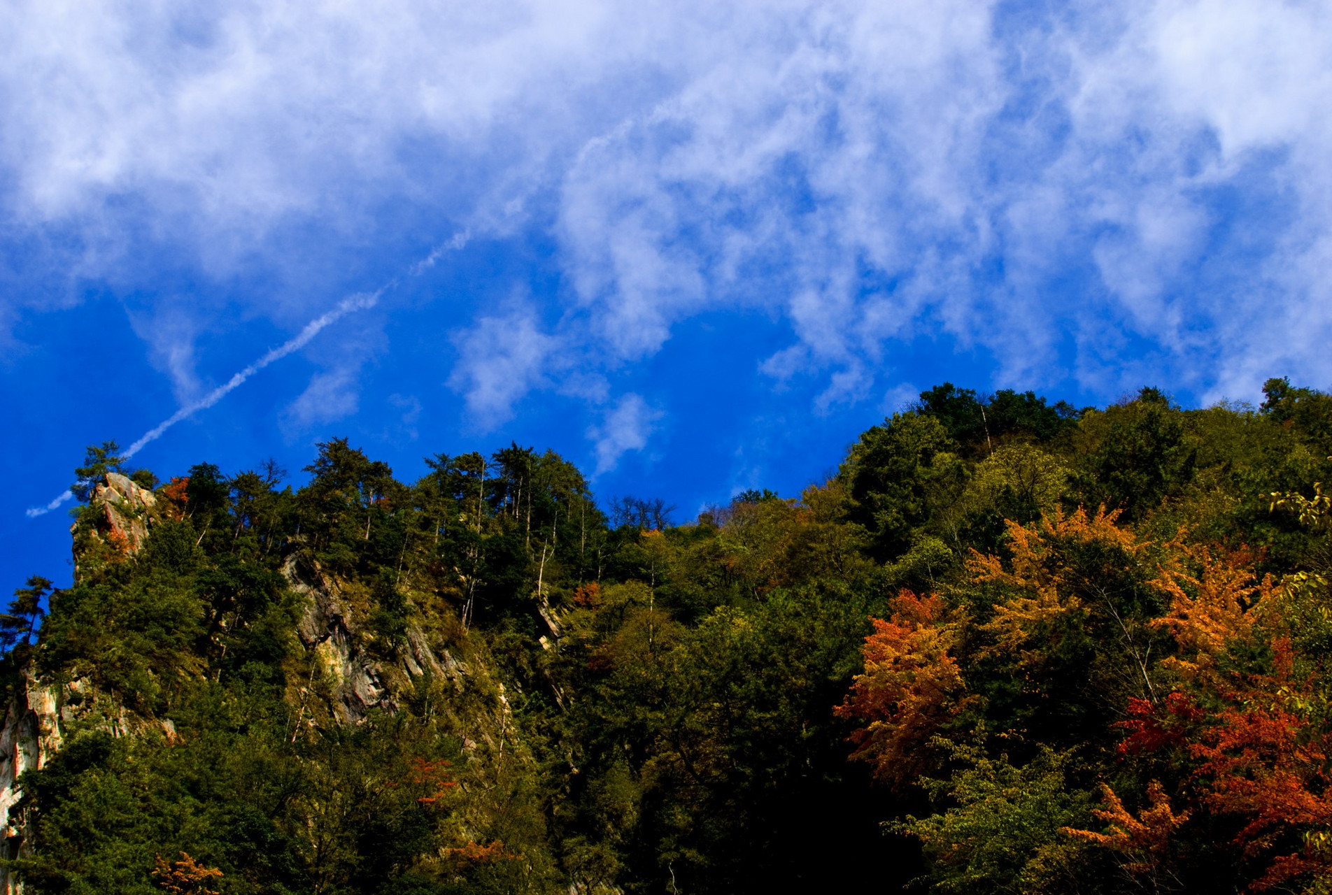熊猫家园青秀之川# 唐家河景区是一个自然风光优美,生态环境优越的