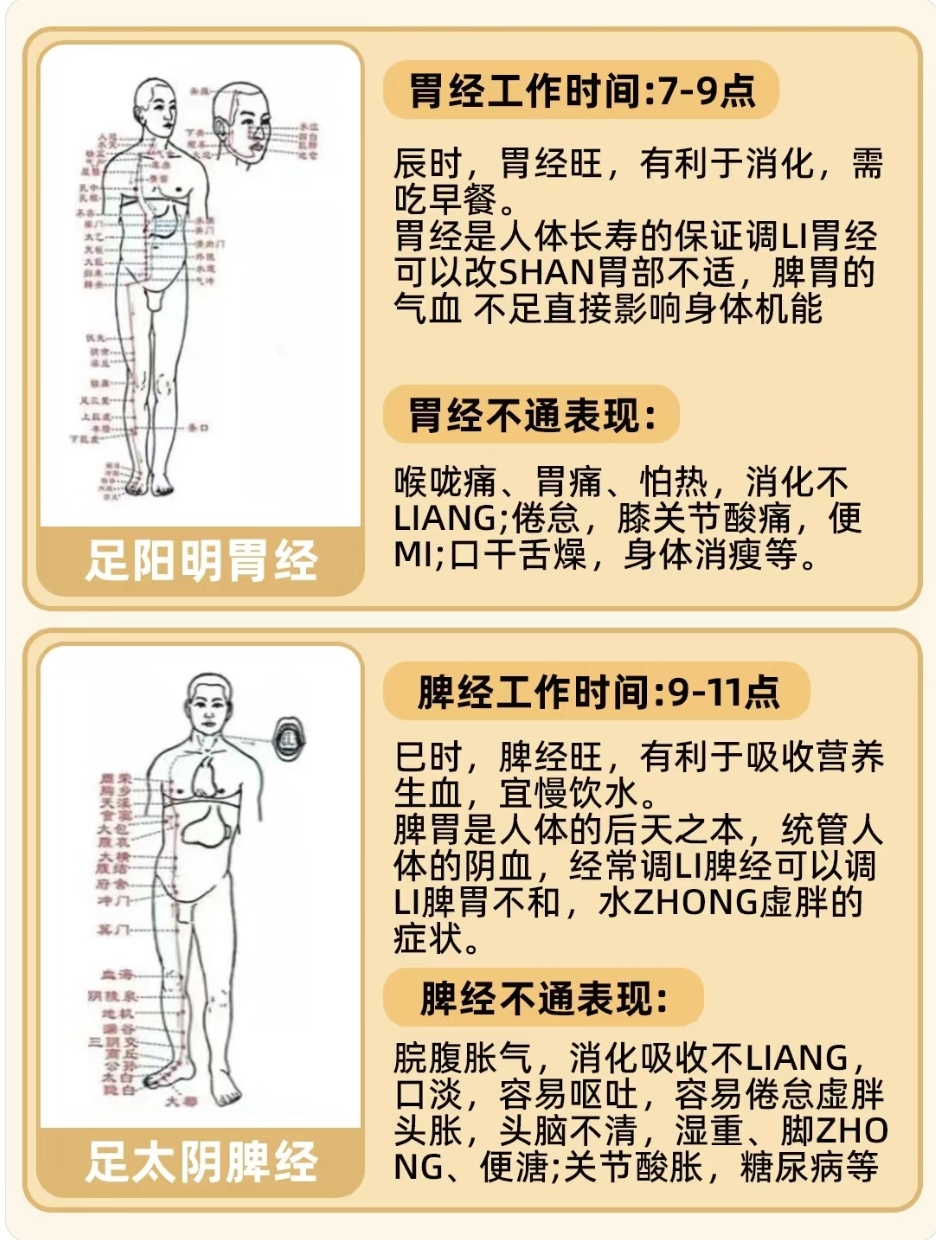 二十四小时经络养生图图片