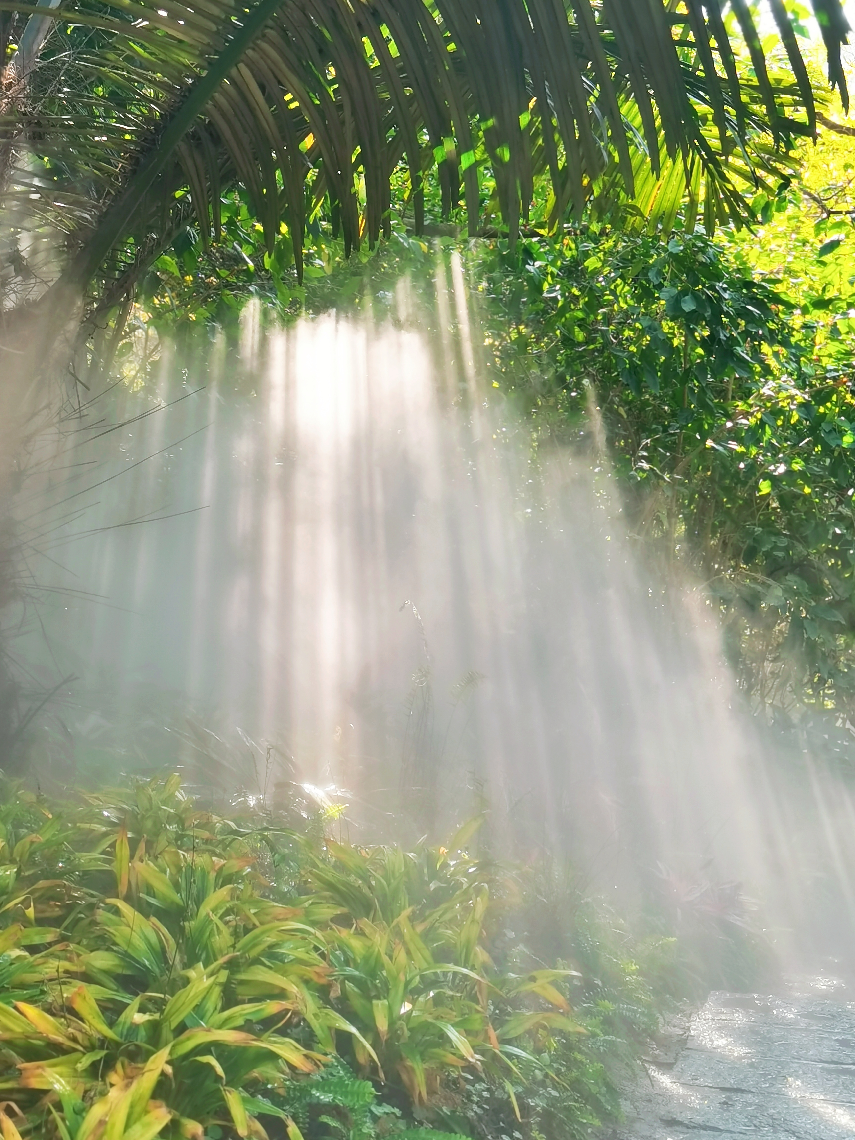 植物爱好者旅游（植物旅游资源先容
）《植物旅游资源介绍》