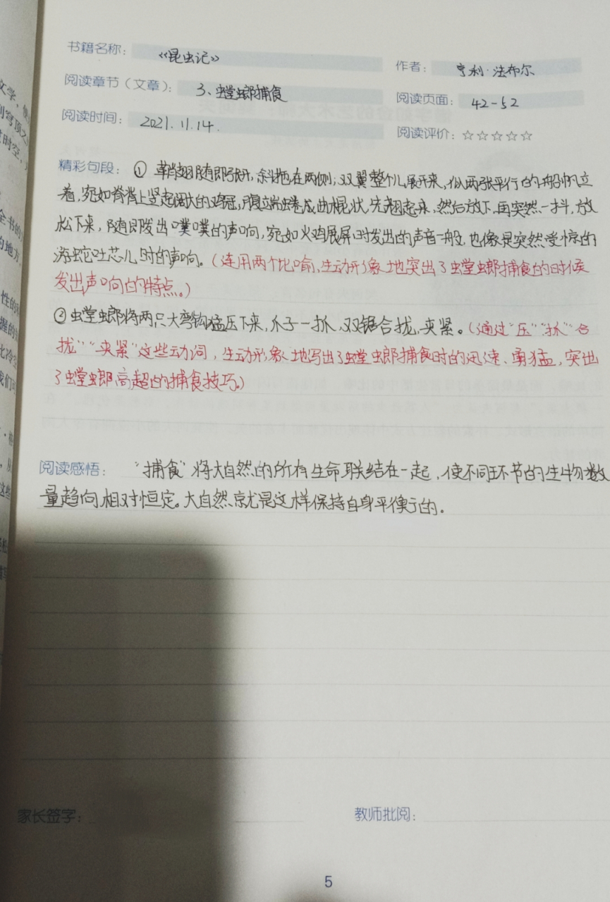 《昆虫记》阅读笔记3螳螂捕食#批注打卡#阿苒专属