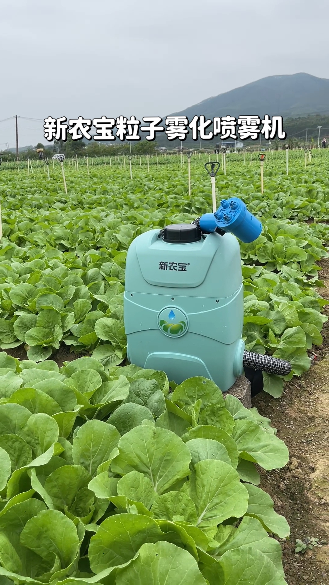 这台机器简直刷新了我对传统打药工具的认知: