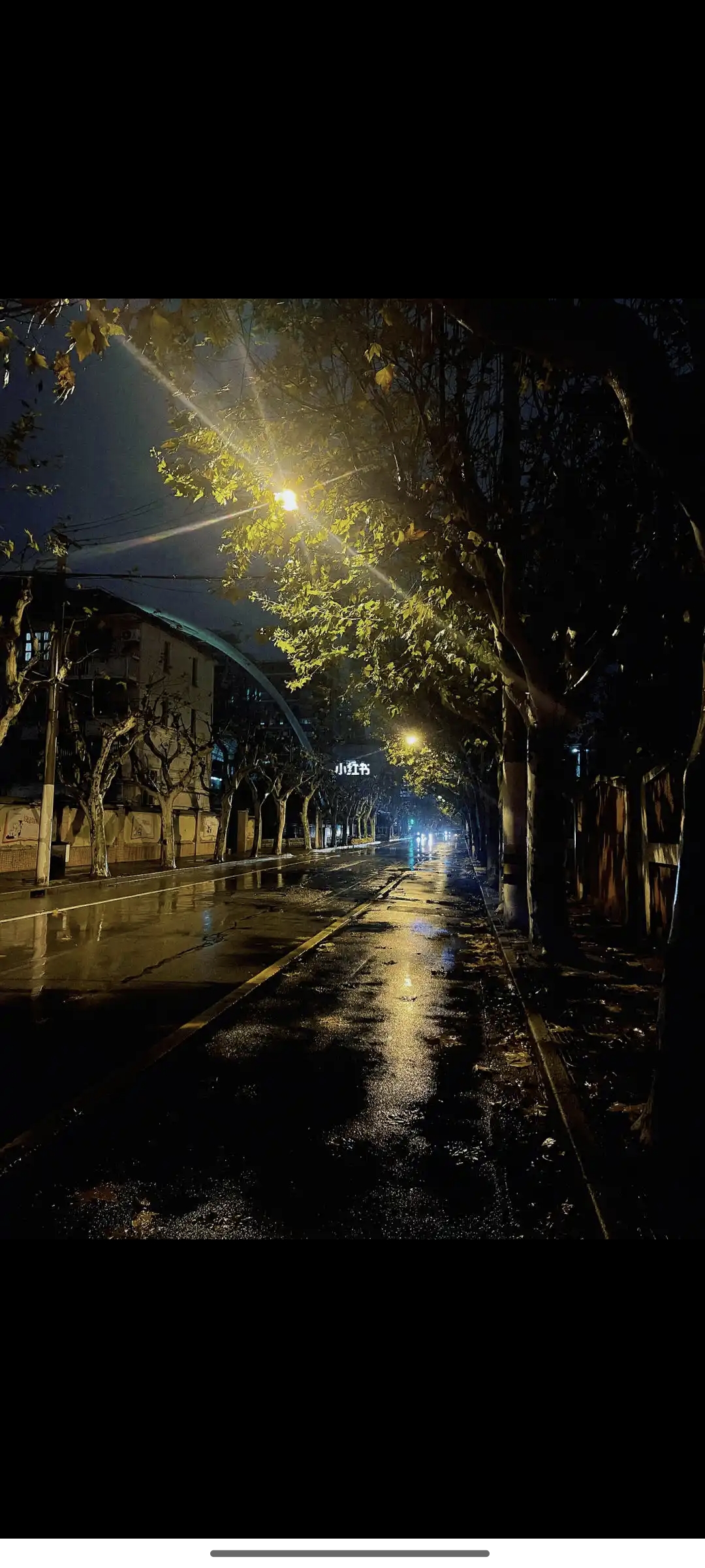 雨夜中的街道 霓虹灯在雨幕中闪烁 仿佛每一盏灯都在诉说着自己的故事