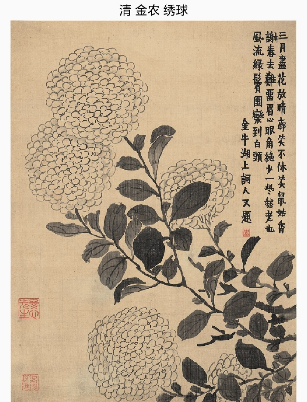 金农《绣球》 以筋骨立形,以神情润色