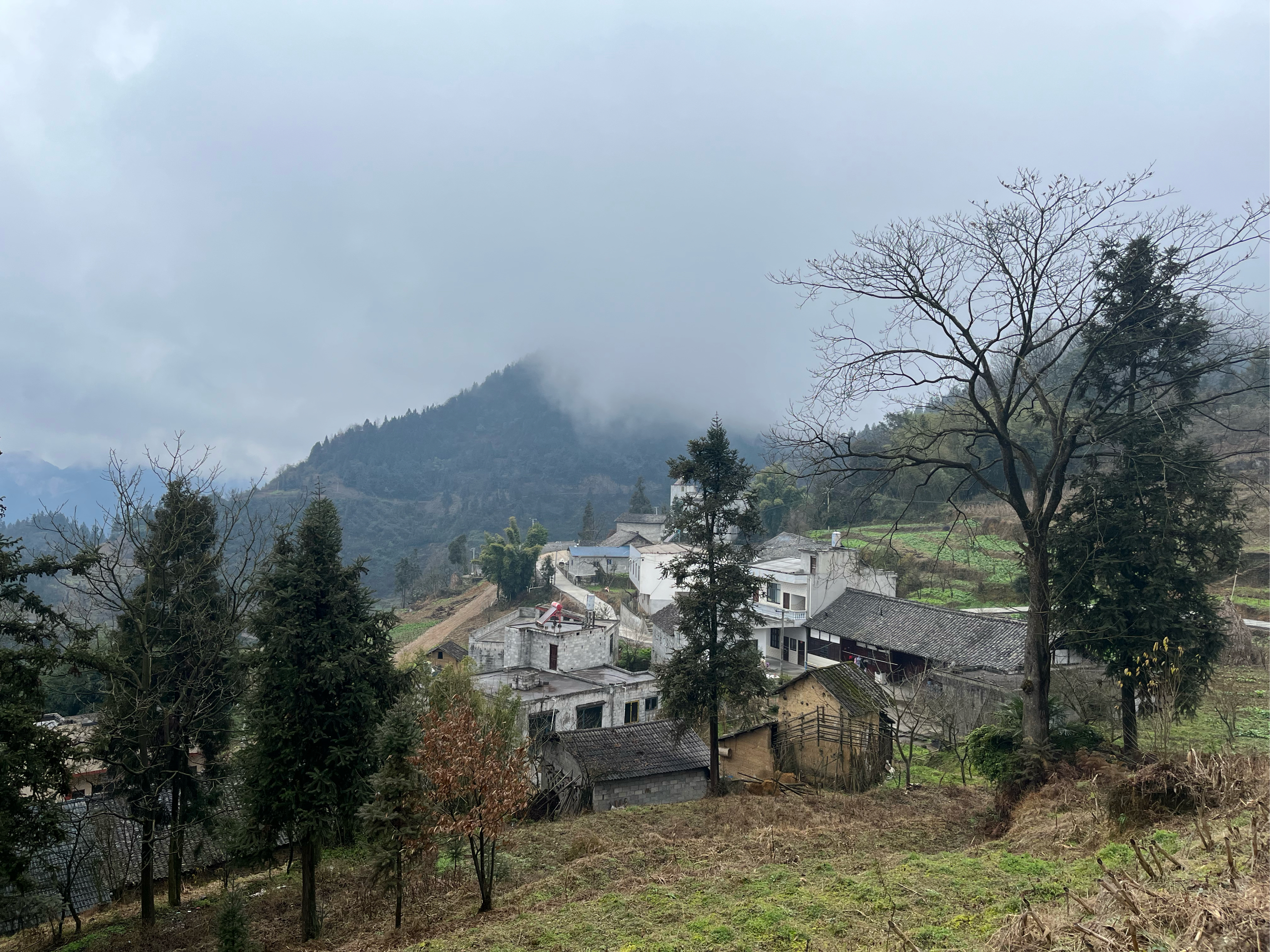 镇雄县中屯镇头屯村图片