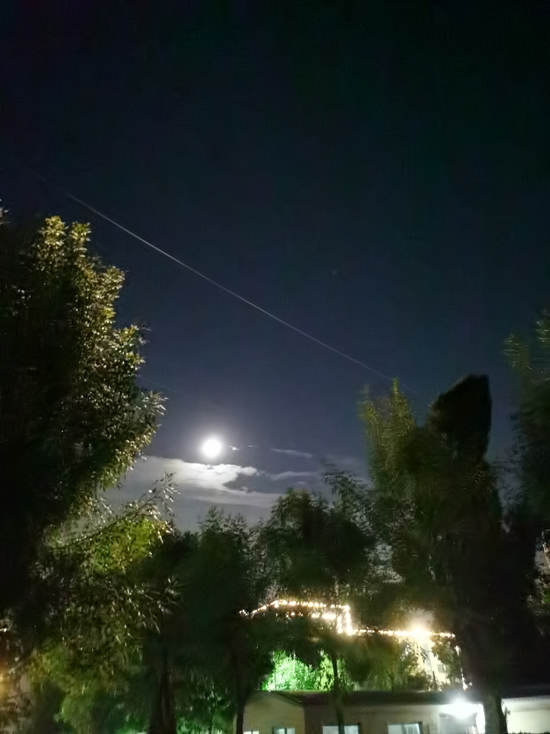 皓月当空1 夜空中的月亮,照亮了树梢,也映出了家的方向.