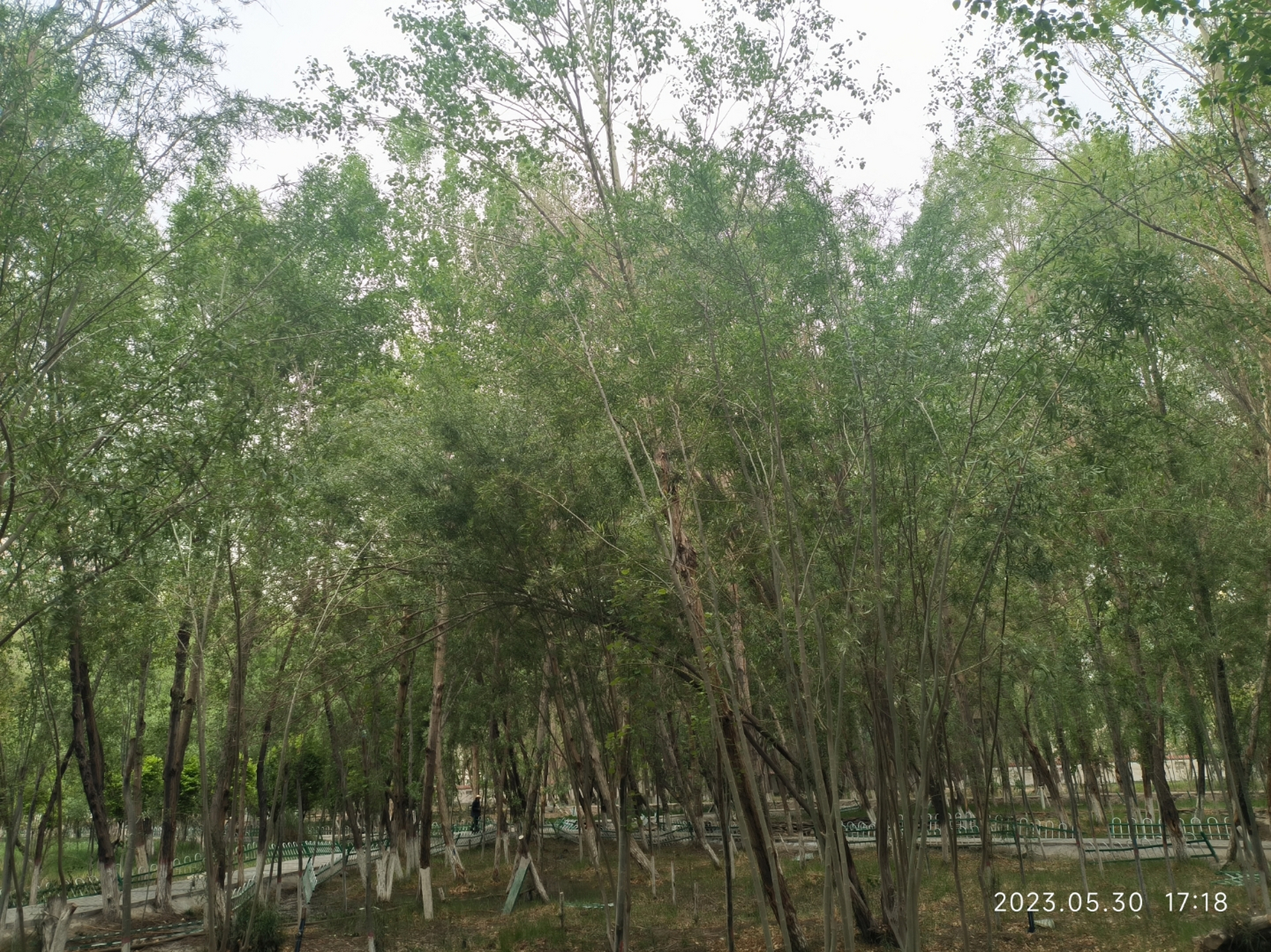 青海格尔木昆仑公园,休闲好去处