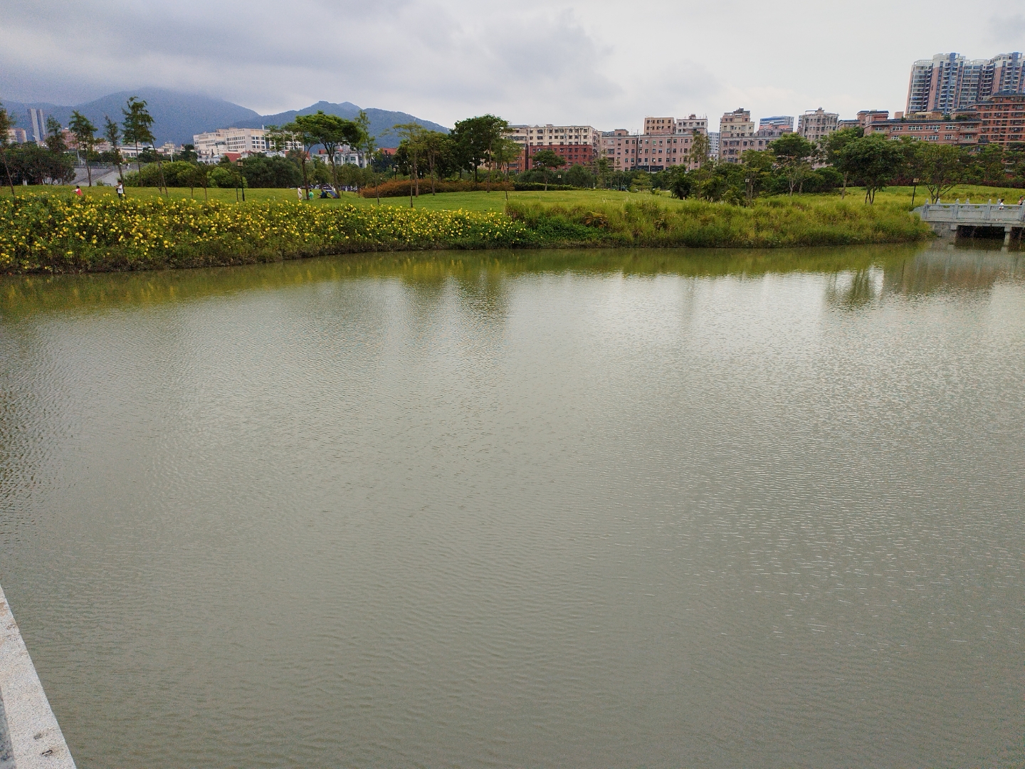 石岩湿地图片