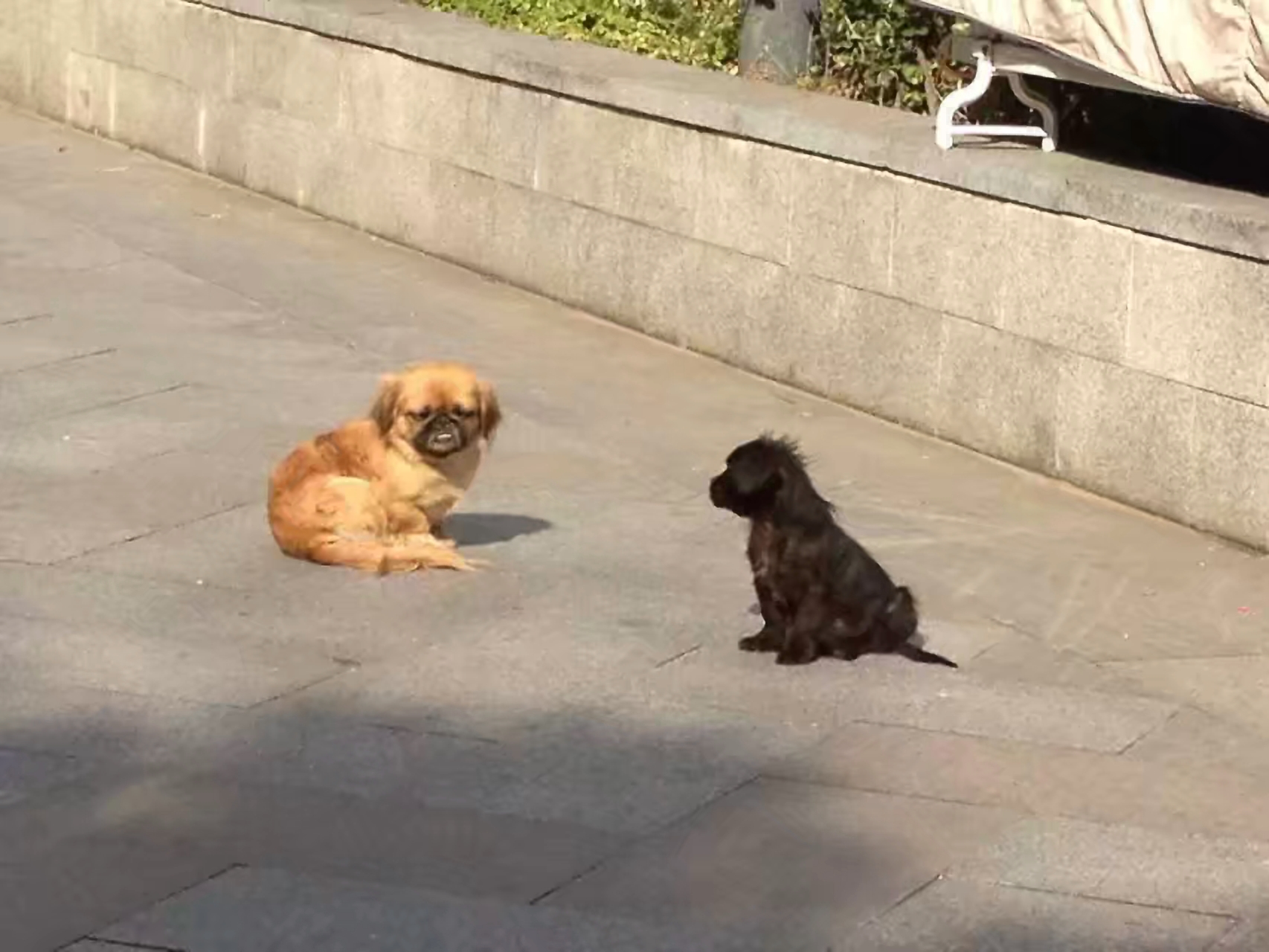 alloy woods metal 伍德合金 武德合金 灰白色有光泽的金属 综上所述