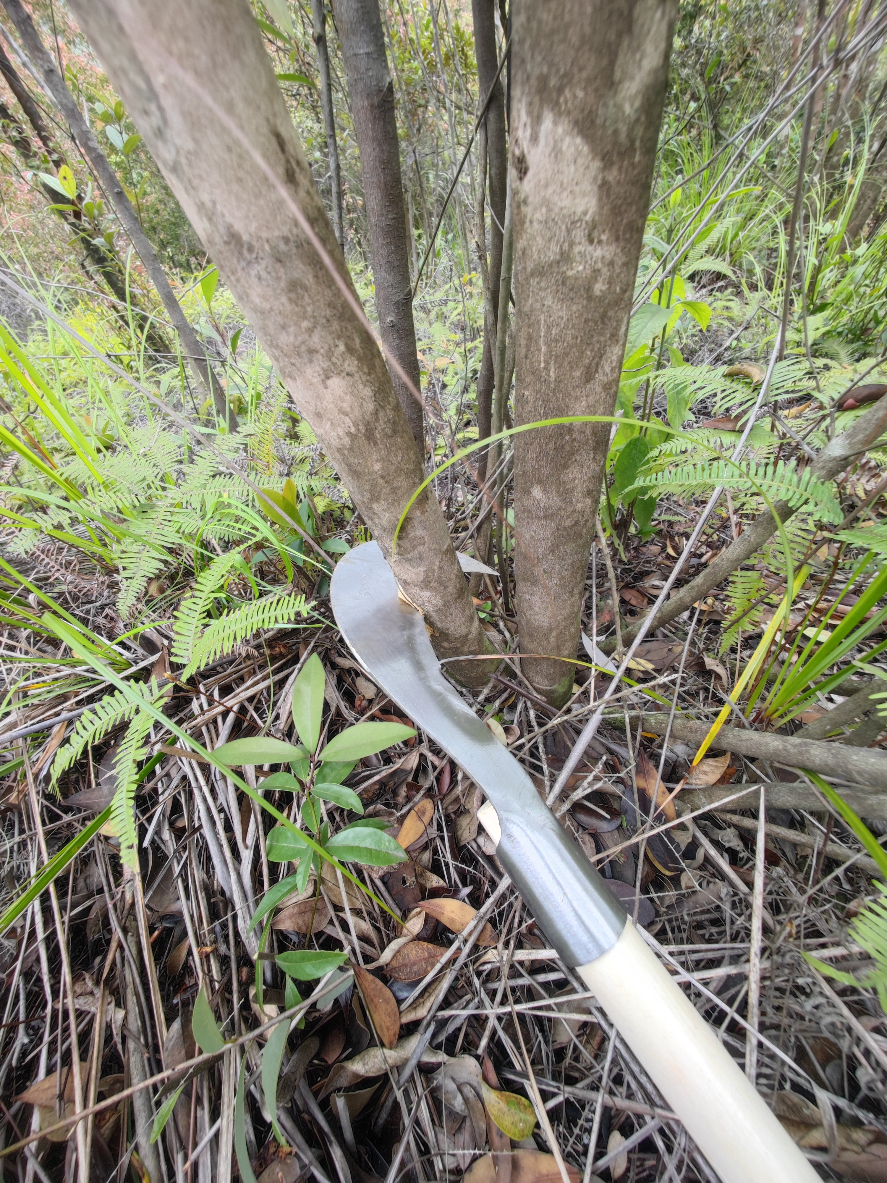 山区砍柴刀图片