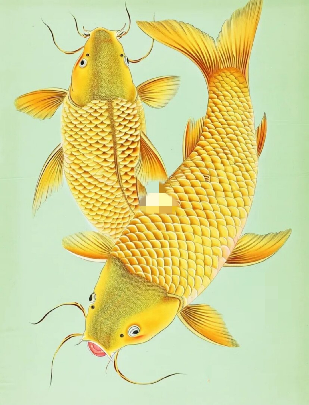 甲辰贺岁迎春接福 龙飞凤舞庆升平.@招财金鱼的动态